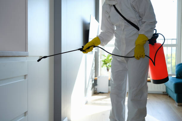 Best Commercial Mold Removal  in Mount Ephraim, NJ